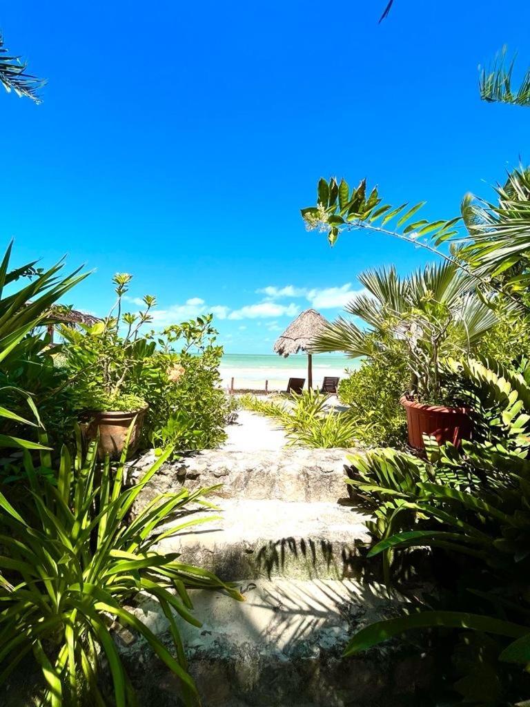 Bed and Breakfast Casa Tom Tom - Adults Only Isola Holbox Esterno foto
